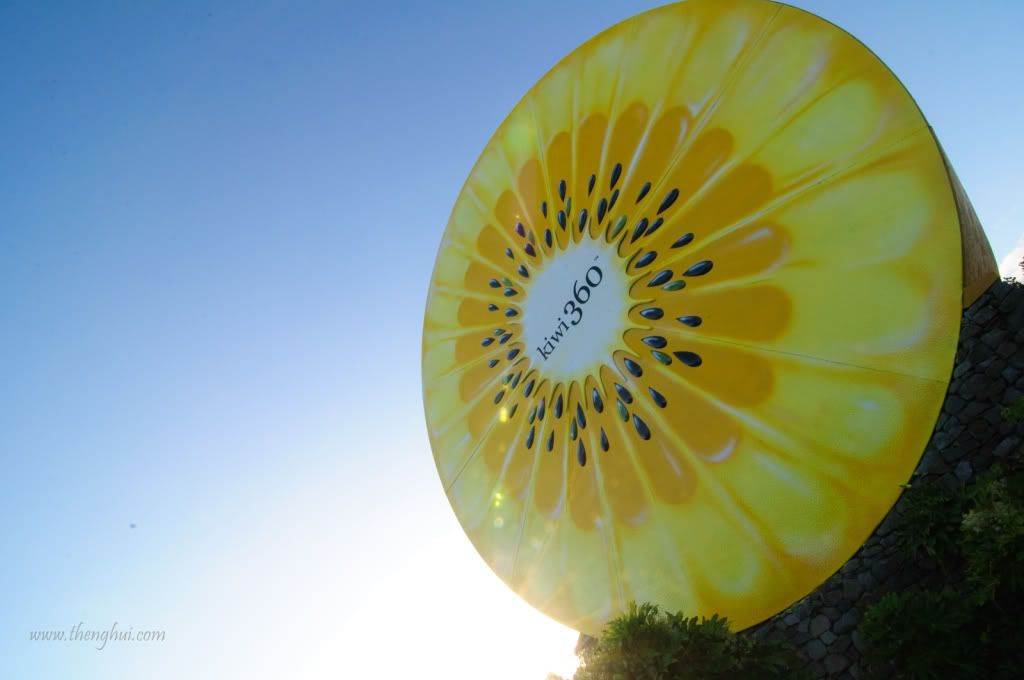 Kiwi360