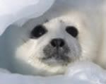 Cute :D