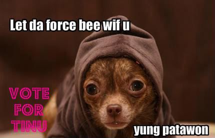 funny-dog-pictures-let-the-force-1.jpg