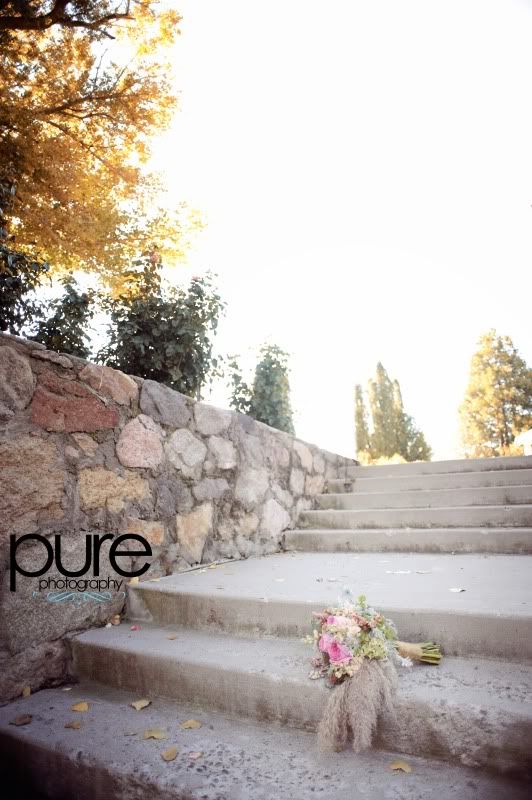 www.purephotographyreno.com