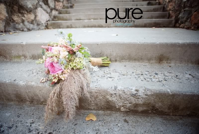 www.purephotographyreno.com