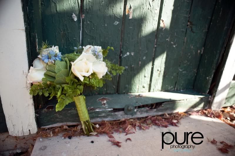 www.purephotographyreno.com