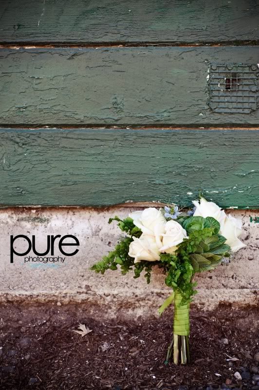 www.purephotographyreno.com