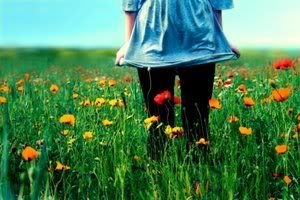 flowers.jpg Flowers image by CellarDoorSurveys