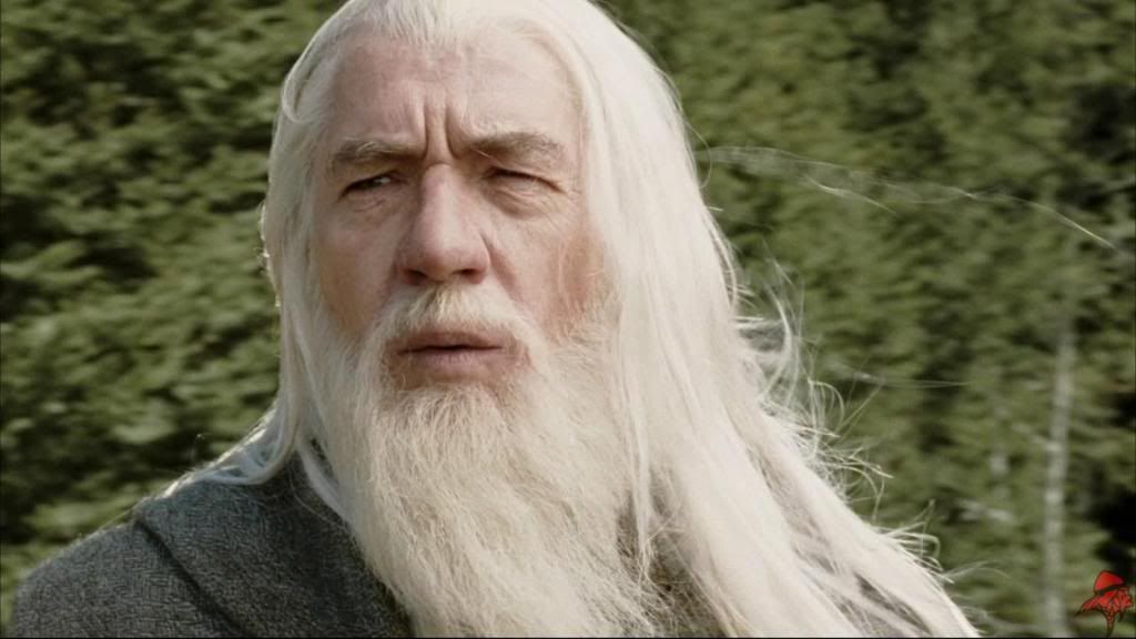 10 Reasons Why Gandalf Is A Terrible Wizard The Correctness