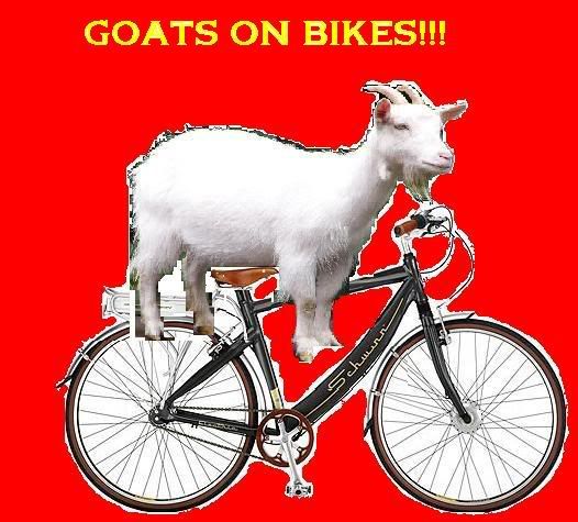 Smackdown AWESOME UNDERCARD 2: Robin vs. Aquaman vs Goats on Bikes