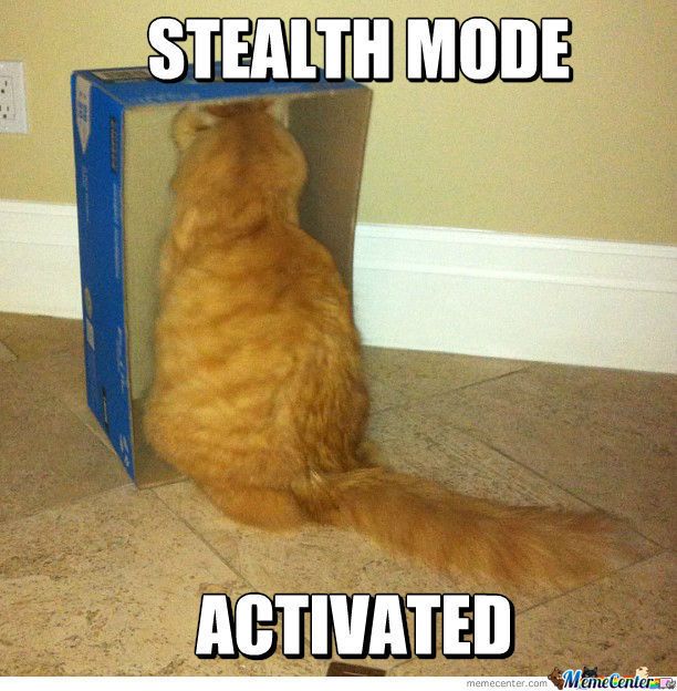 stealth-mode-activated_o_1168408_zpsfdyuo97u.jpg