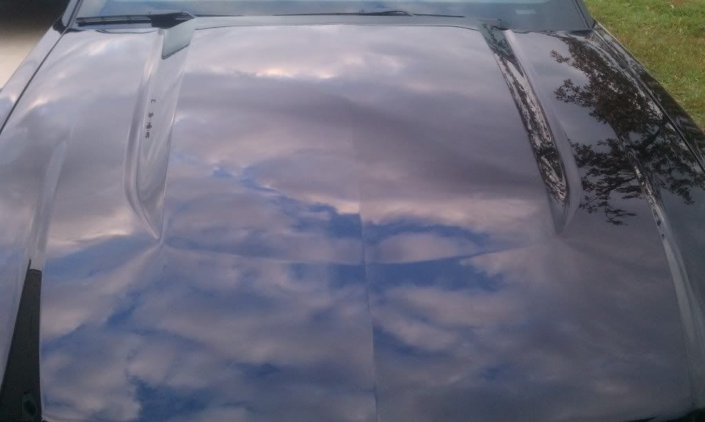 IMAG0925.jpg