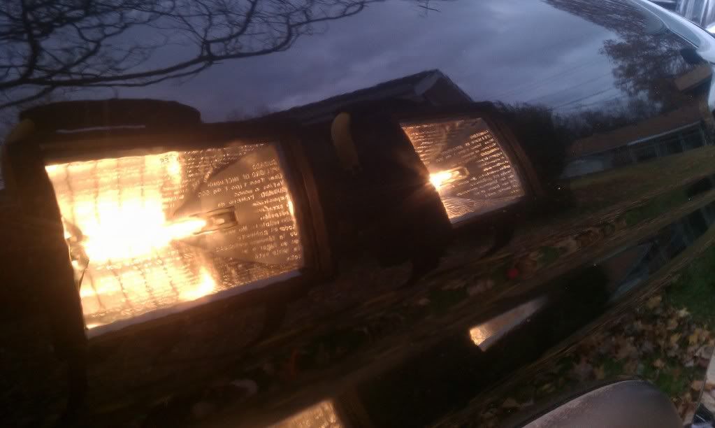 IMAG0954.jpg