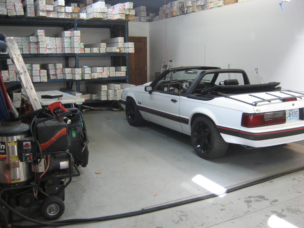 mustanginbay.jpg