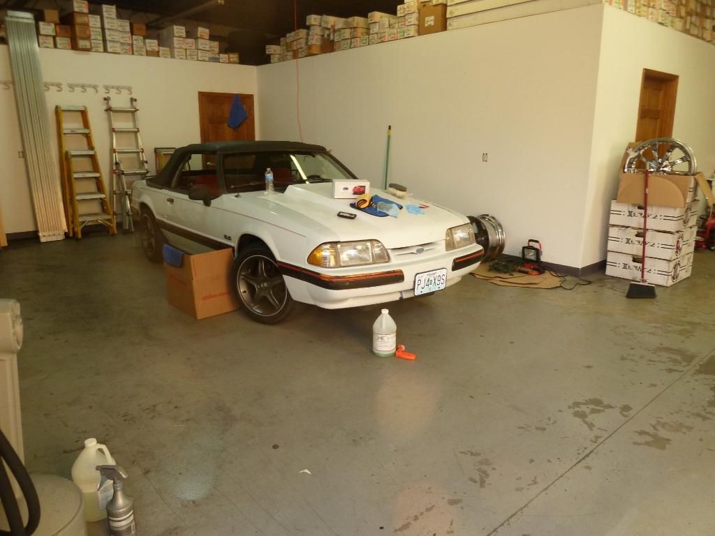 shop1.jpg