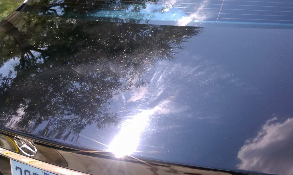 trunk-2.jpg