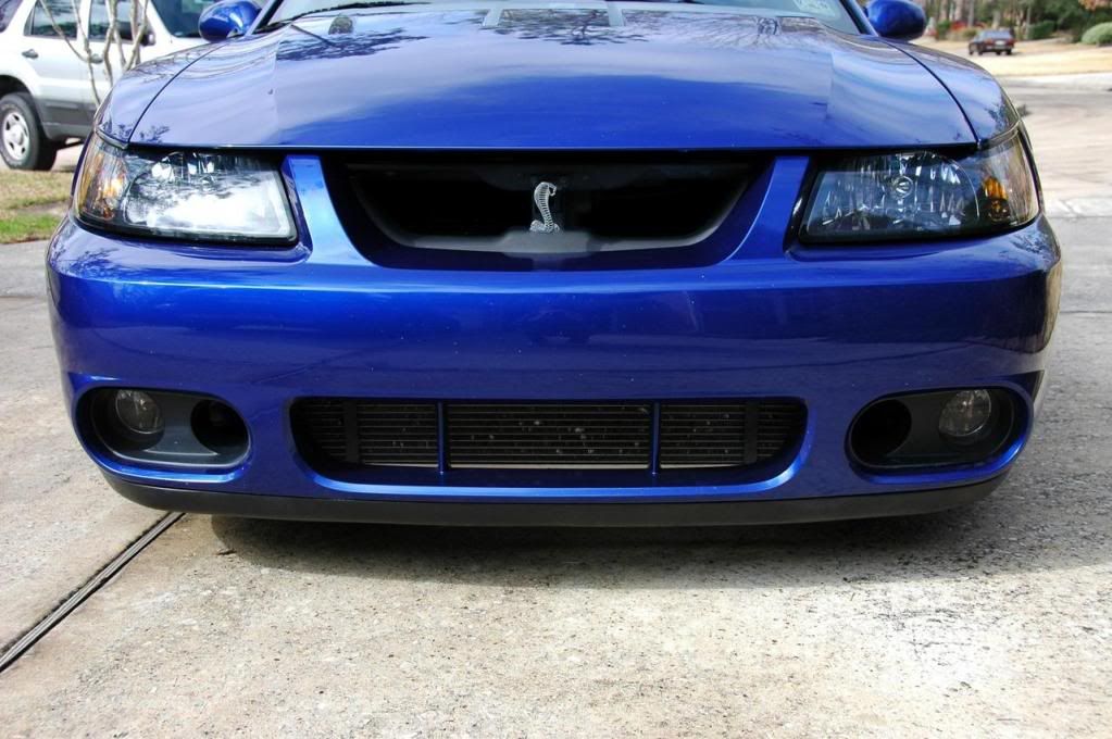 how-to-fix-hide-rock-chips-on-front-bumper-and-hood-svtperformance