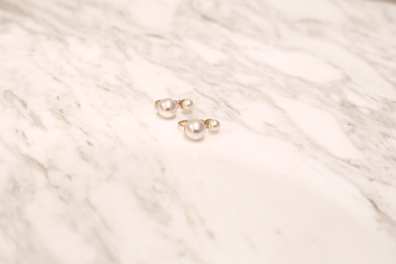  photo IMG_6559-1.jpg