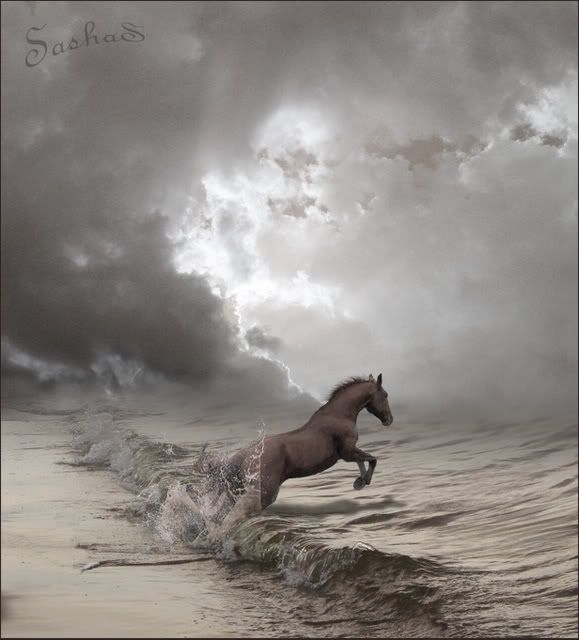 Horse And Ocean