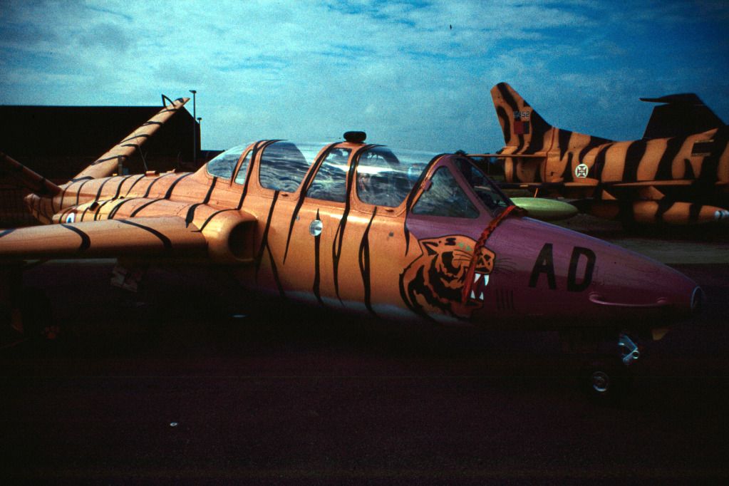 http://i689.photobucket.com/albums/vv259/stony1973/Aircraft/Tiger361.jpg