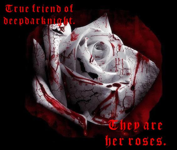 True friend rose ddk