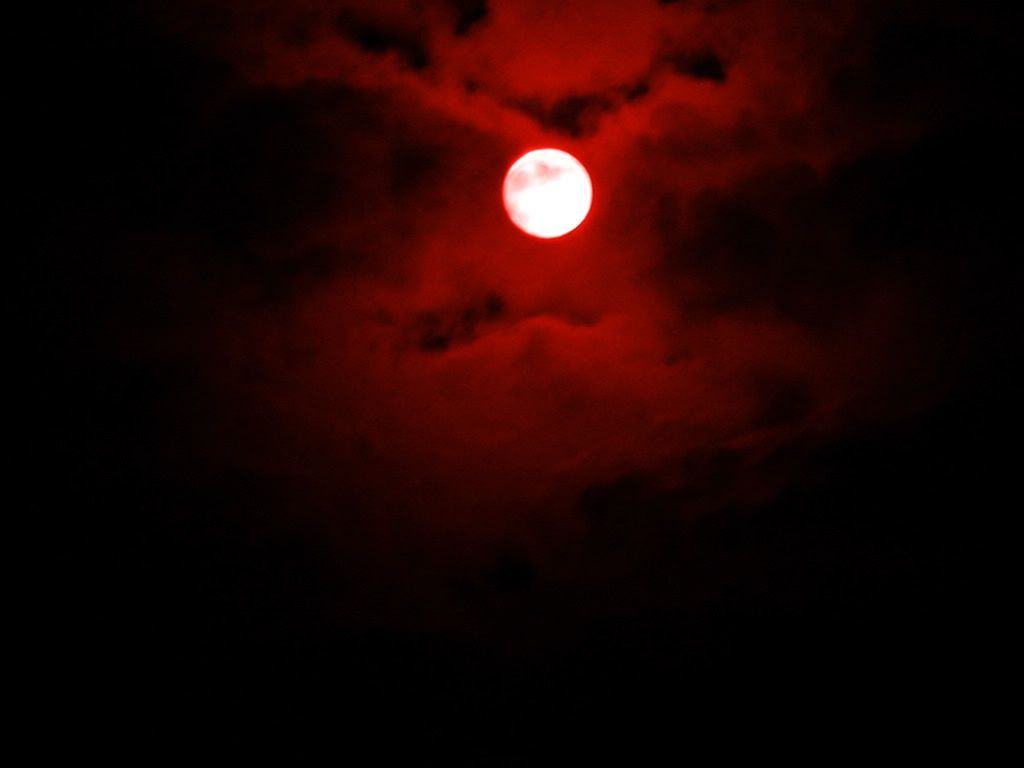 Every night in the ere silence of the forest, the blood moon rises above th...