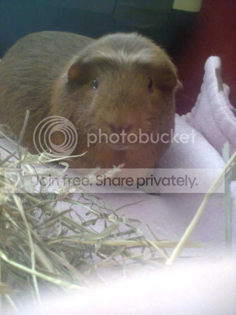 Photo0266_zps01baf7d5.jpg